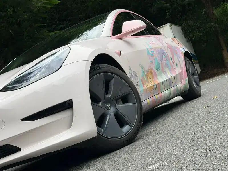 Model 3 2022 Rear-Wheel Drive — миниатюра 7