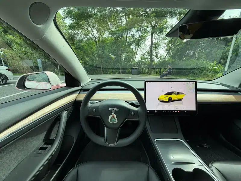Model 3 2022 Rear-Wheel Drive — миниатюра 8