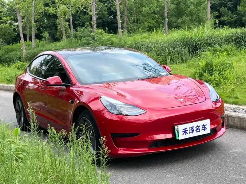 Model 3 2021 Standard Range Rear-Wheel Drive Upgrade 3D6 — миниатюра 3