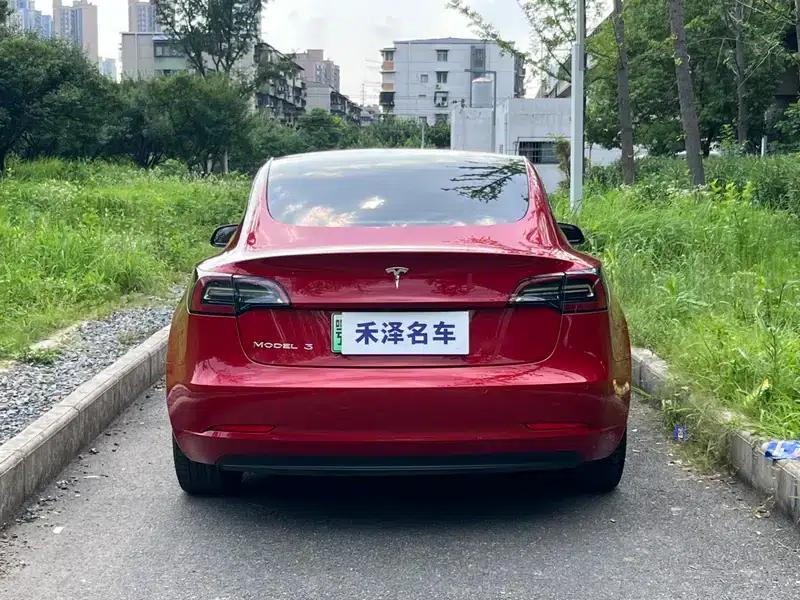 Model 3 2021 Standard Range Rear-Wheel Drive Upgrade 3D6 — миниатюра 5