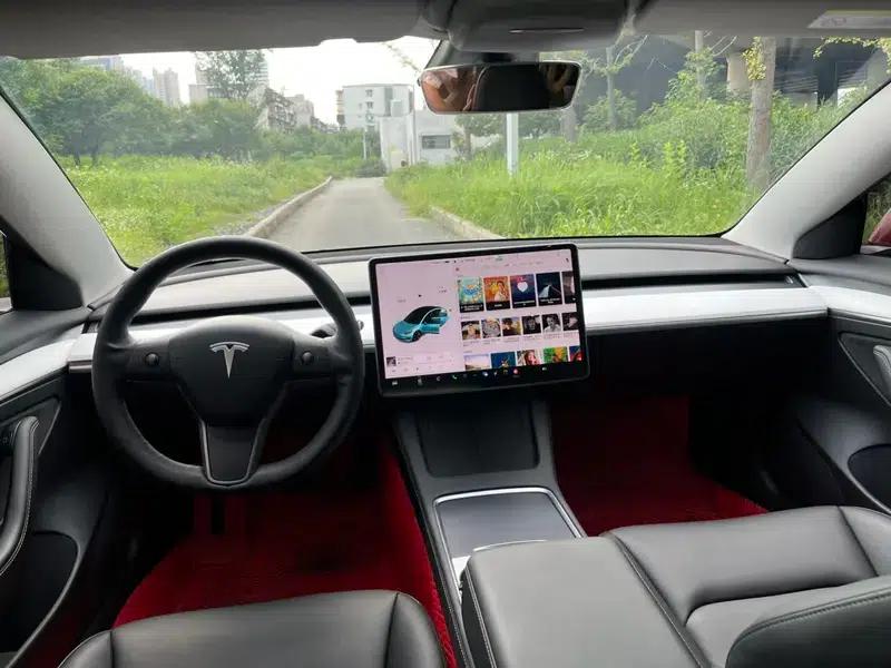 Model 3 2021 Standard Range Rear-Wheel Drive Upgrade 3D6 — миниатюра 7