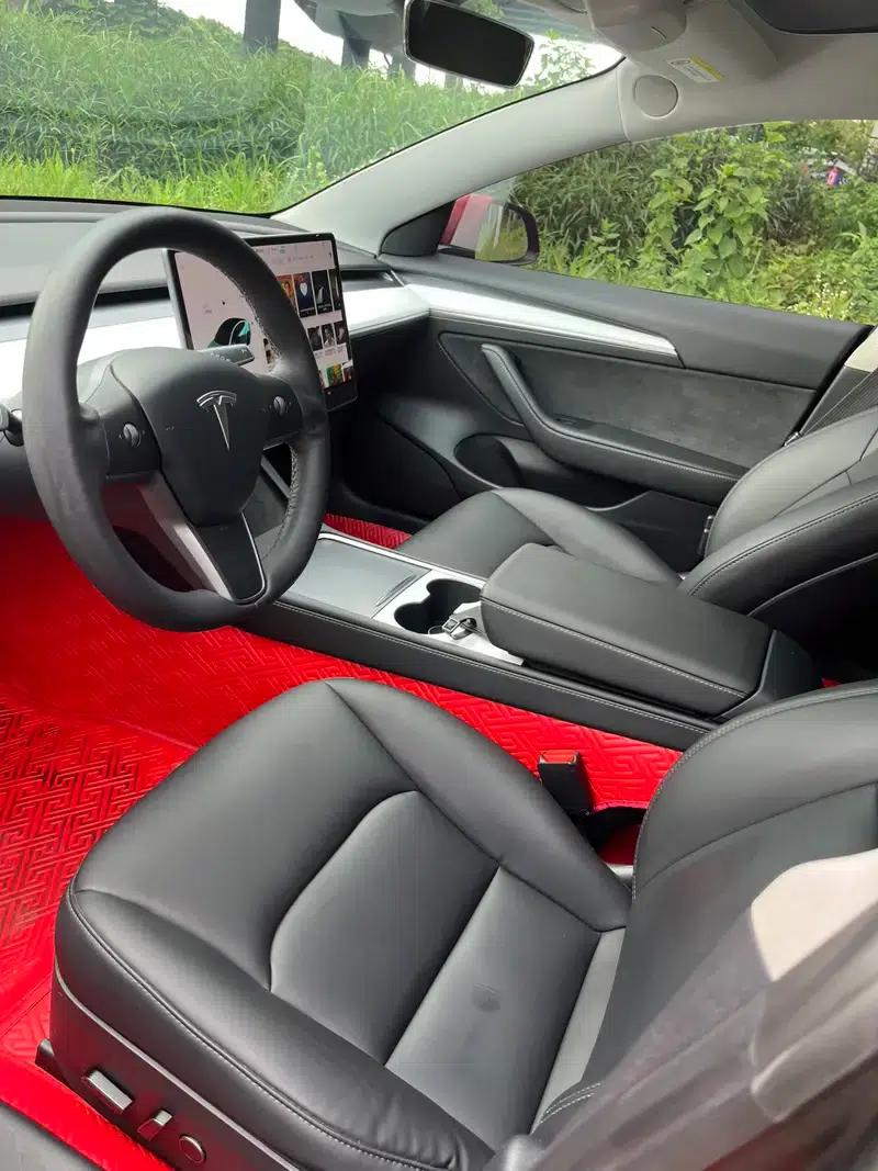 Model 3 2021 Standard Range Rear-Wheel Drive Upgrade 3D6 — миниатюра 8