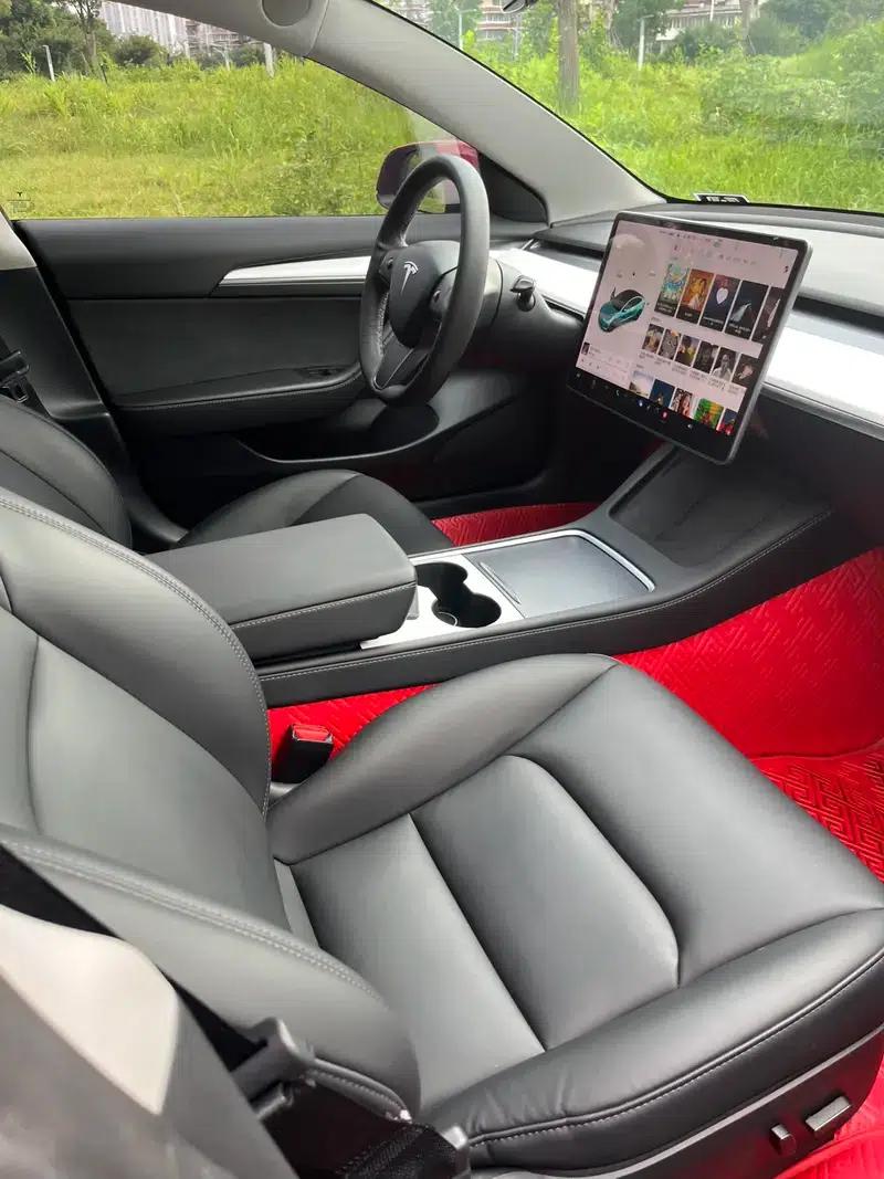 Model 3 2021 Standard Range Rear-Wheel Drive Upgrade 3D6 — миниатюра 10