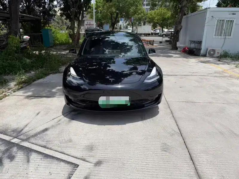 Model 3 2020 Standard Range Rear-Wheel Drive Upgrade — миниатюра 2