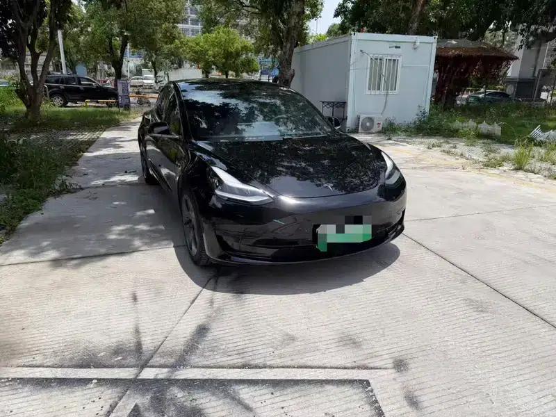 Model 3 2020 Standard Range Rear-Wheel Drive Upgrade — миниатюра 3