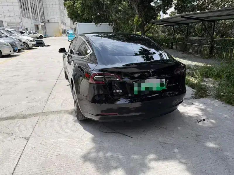 Model 3 2020 Standard Range Rear-Wheel Drive Upgrade — миниатюра 4