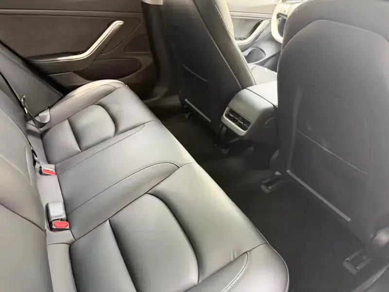 Model 3 2020 Standard Range Rear-Wheel Drive Upgrade — миниатюра 10