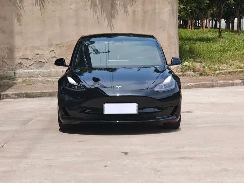 Model 3 2020 Long Range Rear-Wheel Drive — миниатюра 2