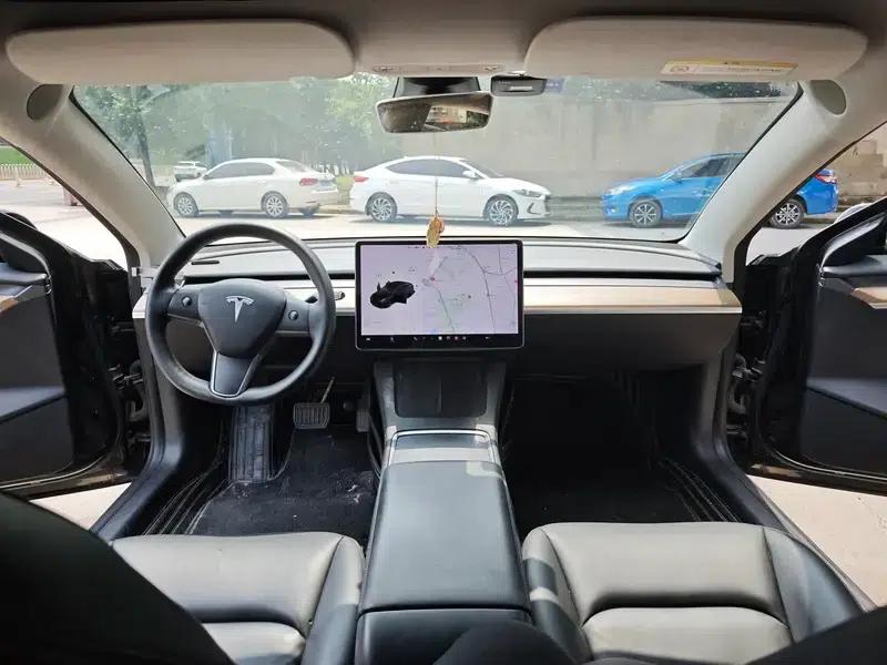 Model 3 2020 Long Range Rear-Wheel Drive — миниатюра 13