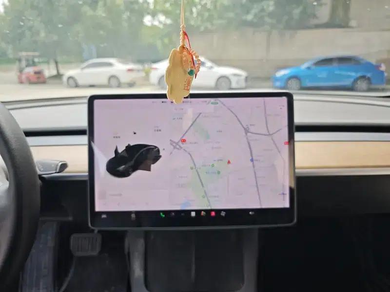 Model 3 2020 Long Range Rear-Wheel Drive — миниатюра 21