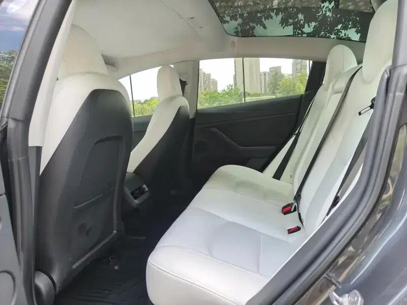 Model 3 2021 Standard Range Rear-Wheel Drive Upgrade — миниатюра 8