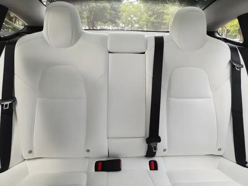 Model 3 2021 Standard Range Rear-Wheel Drive Upgrade — миниатюра 9