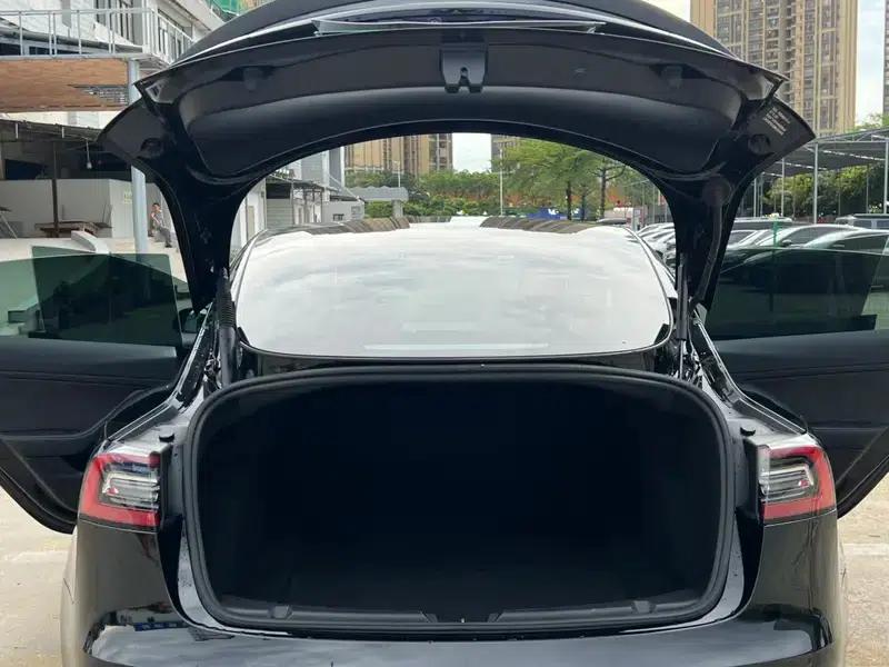 Model 3 2021 Performance All-Wheel Drive — миниатюра 24