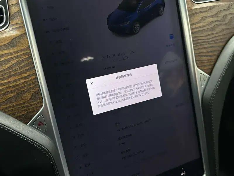 Model X 2017 100D Long Range — миниатюра 11
