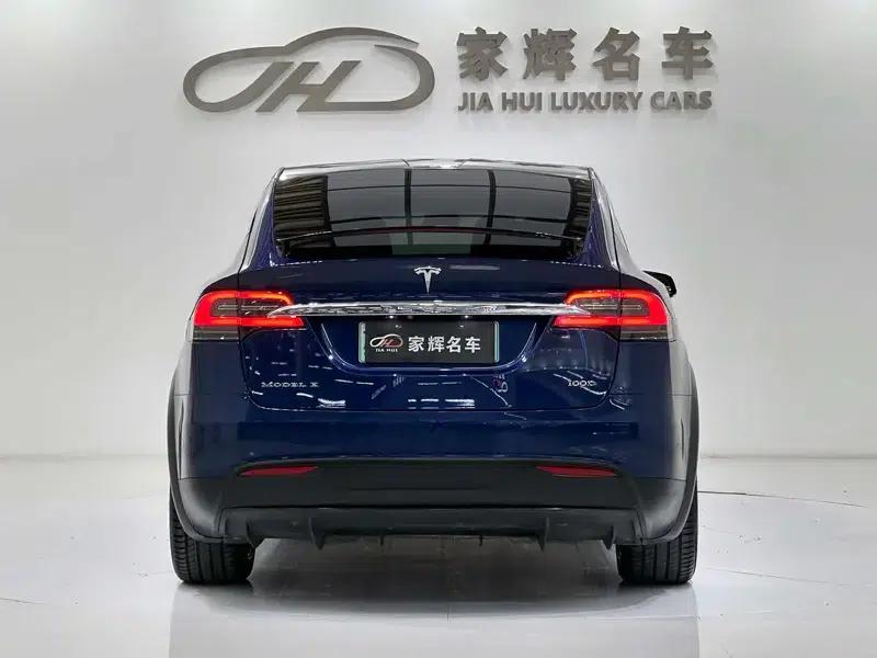 Model X 2017 100D Long Range — миниатюра 6