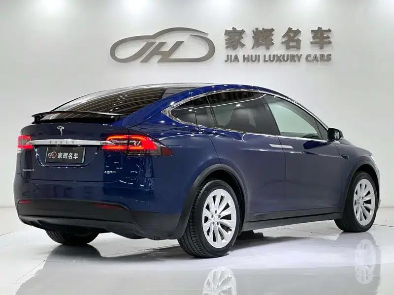 Model X 2017 100D Long Range — миниатюра 7