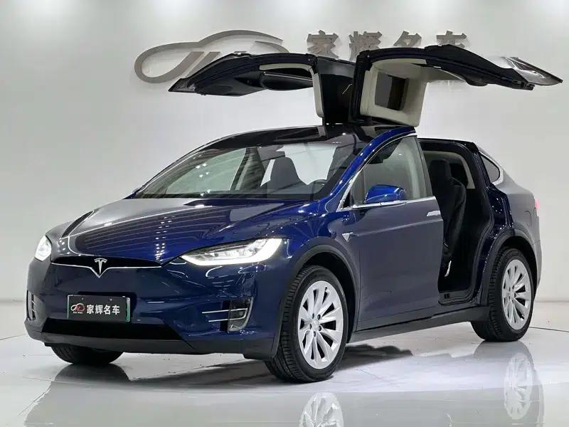 Model X 2017 100D Long Range — миниатюра 8