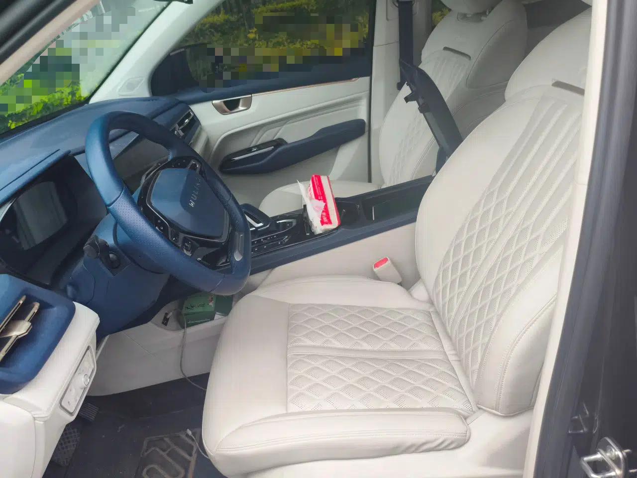 Wuling Victory 2023 2.0L DHT Luxury Edition — миниатюра 15