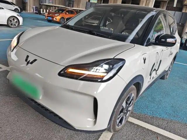 Wuling Bingo PLUS 2024 330 km Range Five-Seater Version