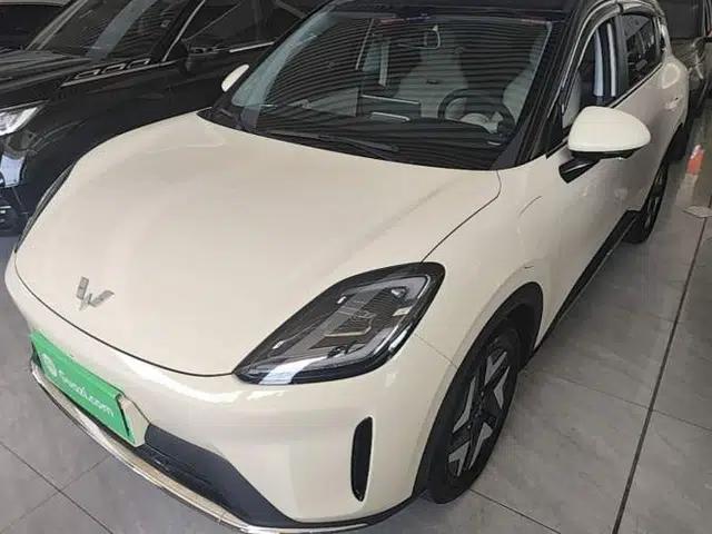 Wuling Bingo S 2025 Model 325km Flagship Edition