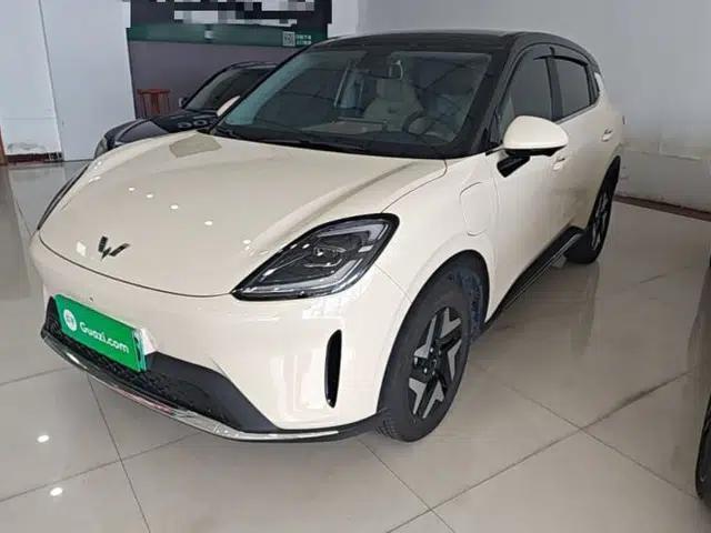 Wuling Bingo S 2025 Model 325km Flagship Edition