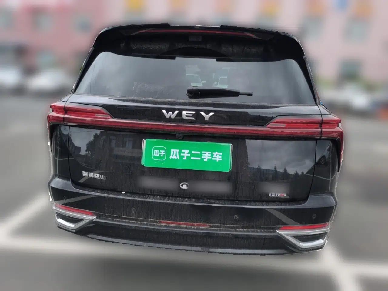 Wey Lanshan 2025 Four-Wheel Drive Max — миниатюра 3