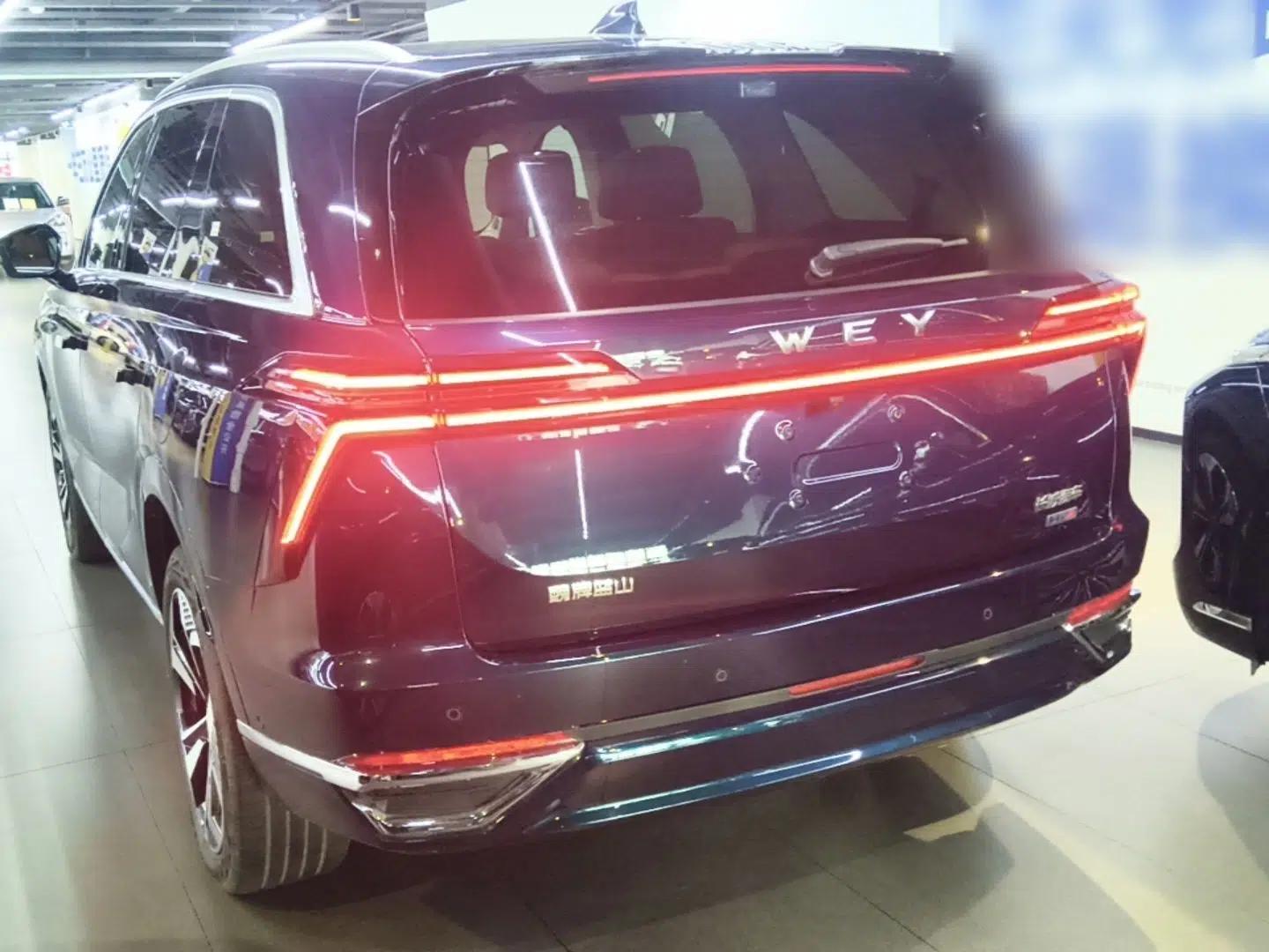 Wey Lanshan 2025 Four-Wheel Drive Max — миниатюра 4