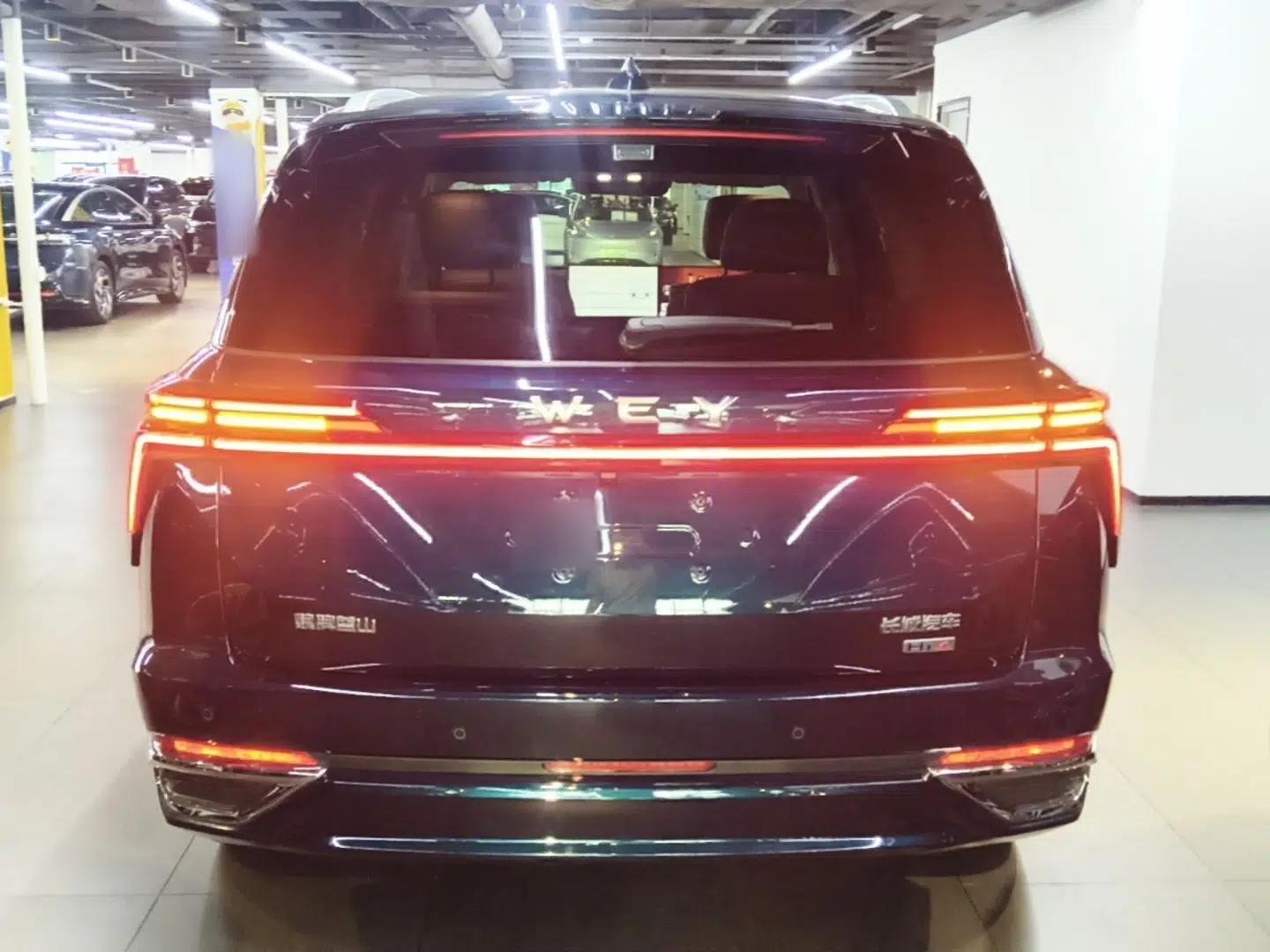 Wey Lanshan 2025 Four-Wheel Drive Max — миниатюра 5