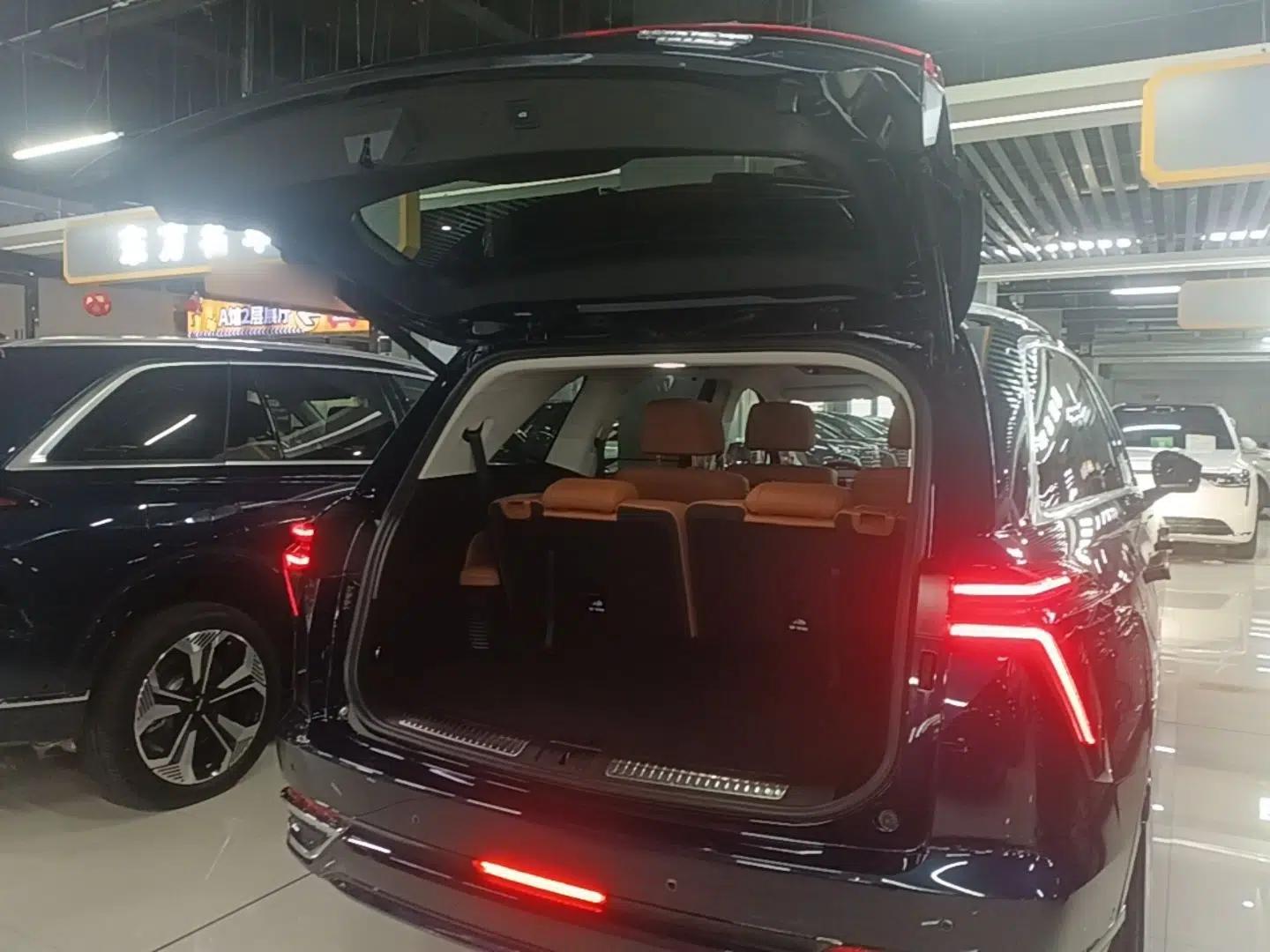 Wey Lanshan 2025 Four-Wheel Drive Max — миниатюра 22
