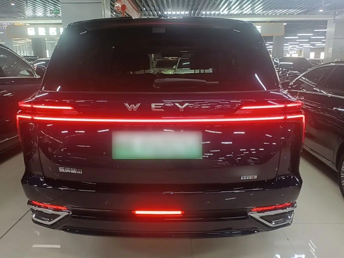 Wey Lanshan 2025 Four-Wheel Drive Max — миниатюра 5