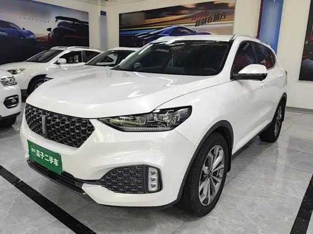 Wey VV6 2020 2.0T Two-Wheel Drive Smart Enjoyment+