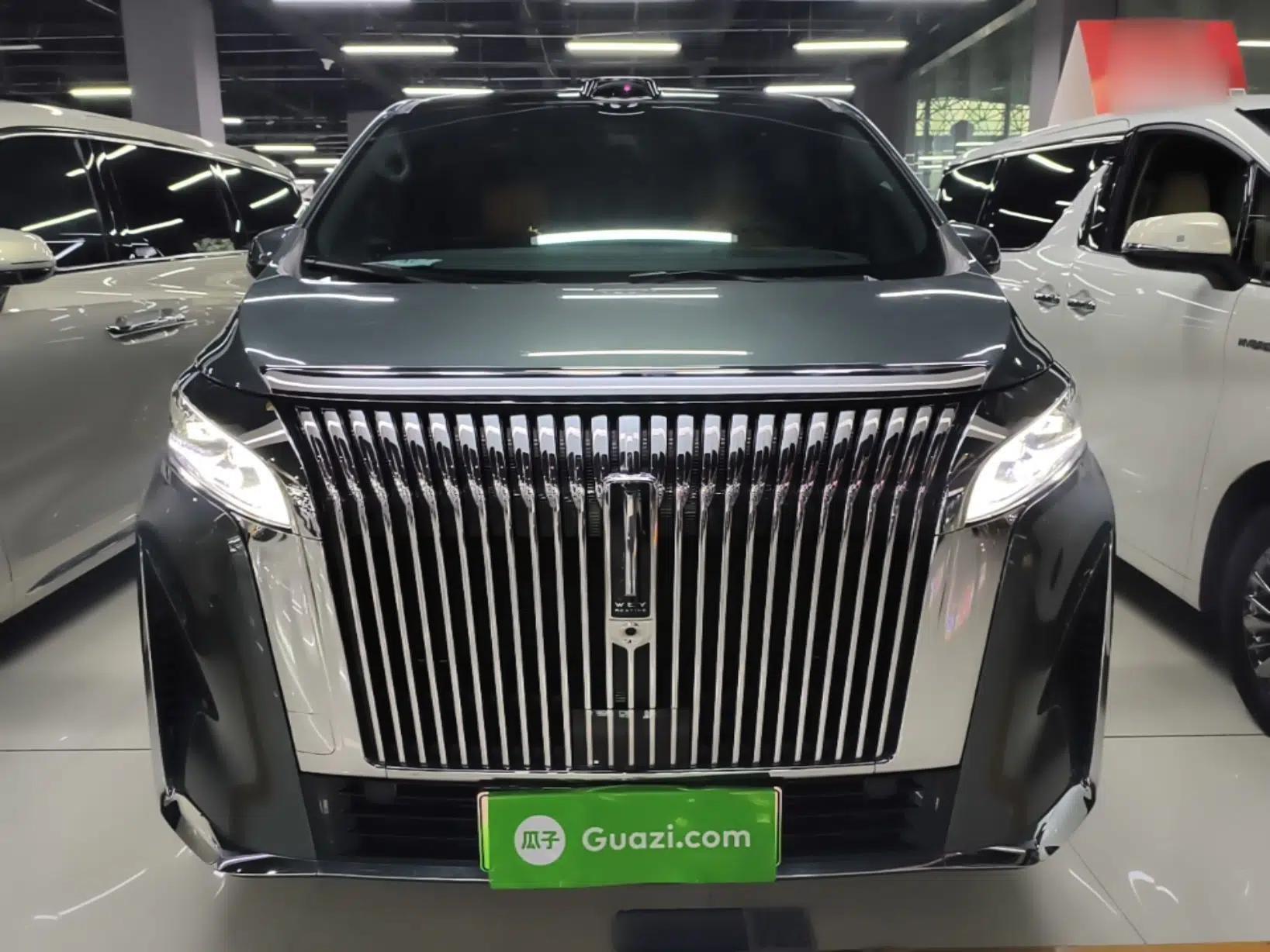 Wey Gaoshan 2025 Four-Wheel Drive Alpine 9 — миниатюра 2
