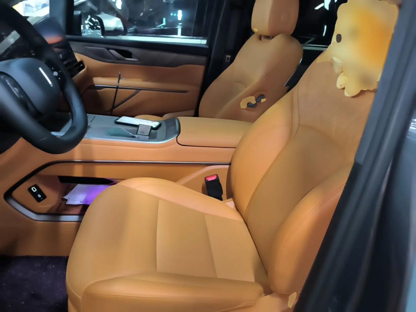 Wey Gaoshan 2025 Four-Wheel Drive Alpine 9 — миниатюра 17