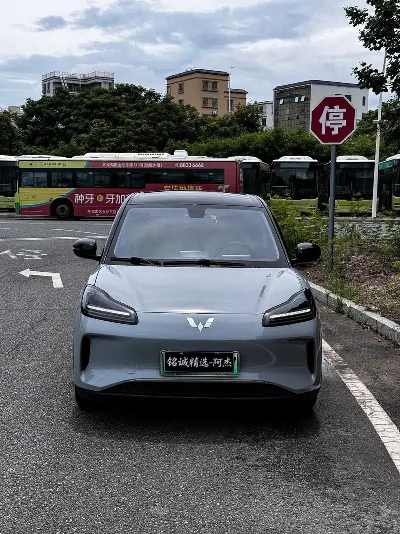 Wuling Bingo PLUS 2024 Model 401km Flagship Edition — миниатюра 2