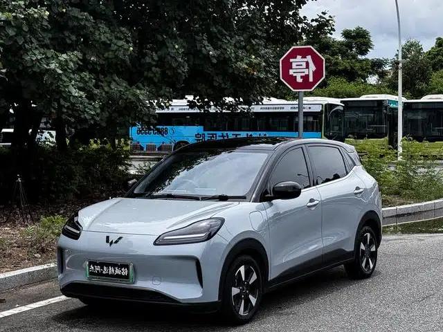 Wuling Bingo PLUS 2024 Model 401km Flagship Edition