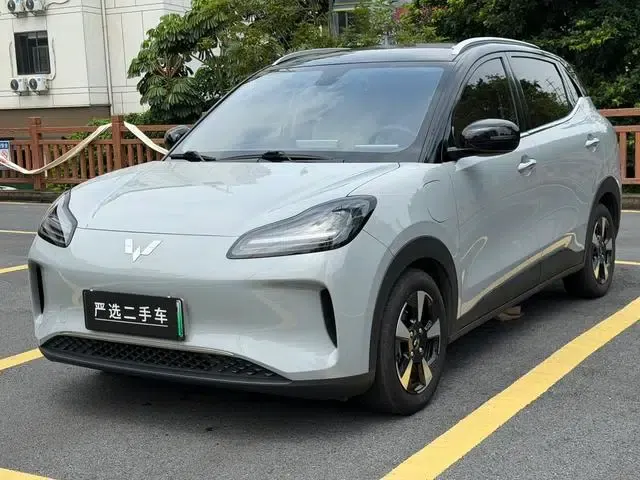 Wuling Bingo PLUS 2024 Model 401km Flagship Edition