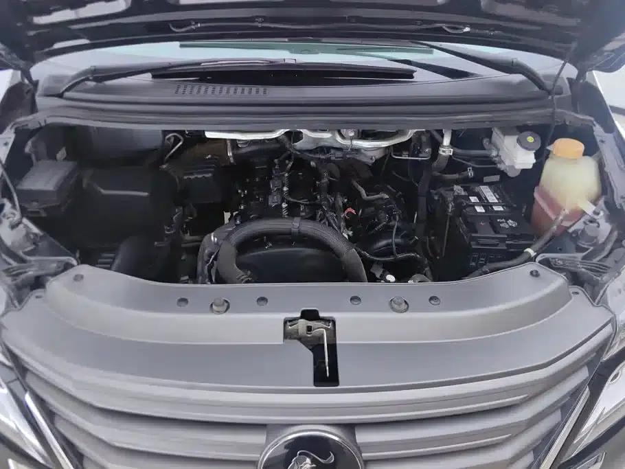Lingzhi 2022 Facelift, Striving Edition M5L 2.0L Basic 7-Seater — миниатюра 10