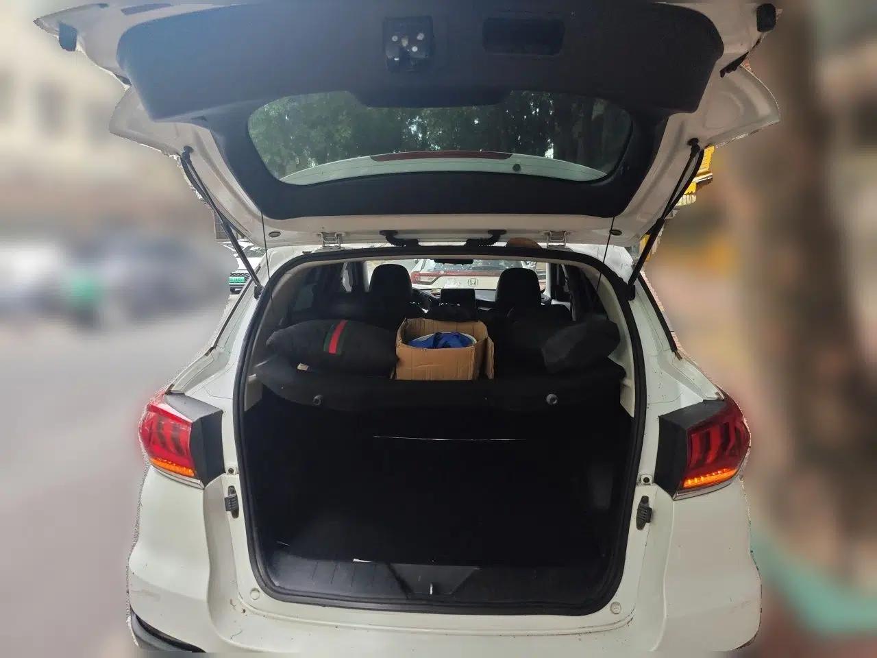 WM Motor EX5 2019 EX5 ZhiXing 2.0 Extra Innovation Edition 400 — миниатюра 19