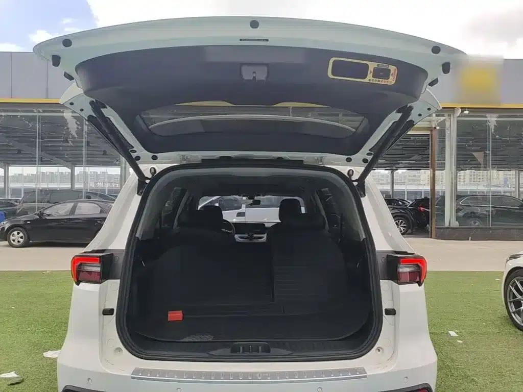 Lingyu 2021 EcoBoost 225 Platinum Edition 6-seater — миниатюра 19