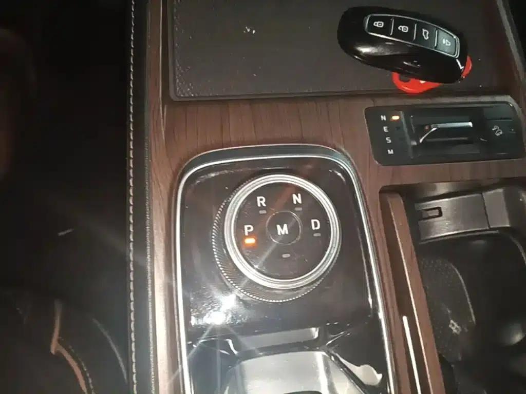 Lingyu 2021 EcoBoost 225 Premium 7-Seater — миниатюра 14