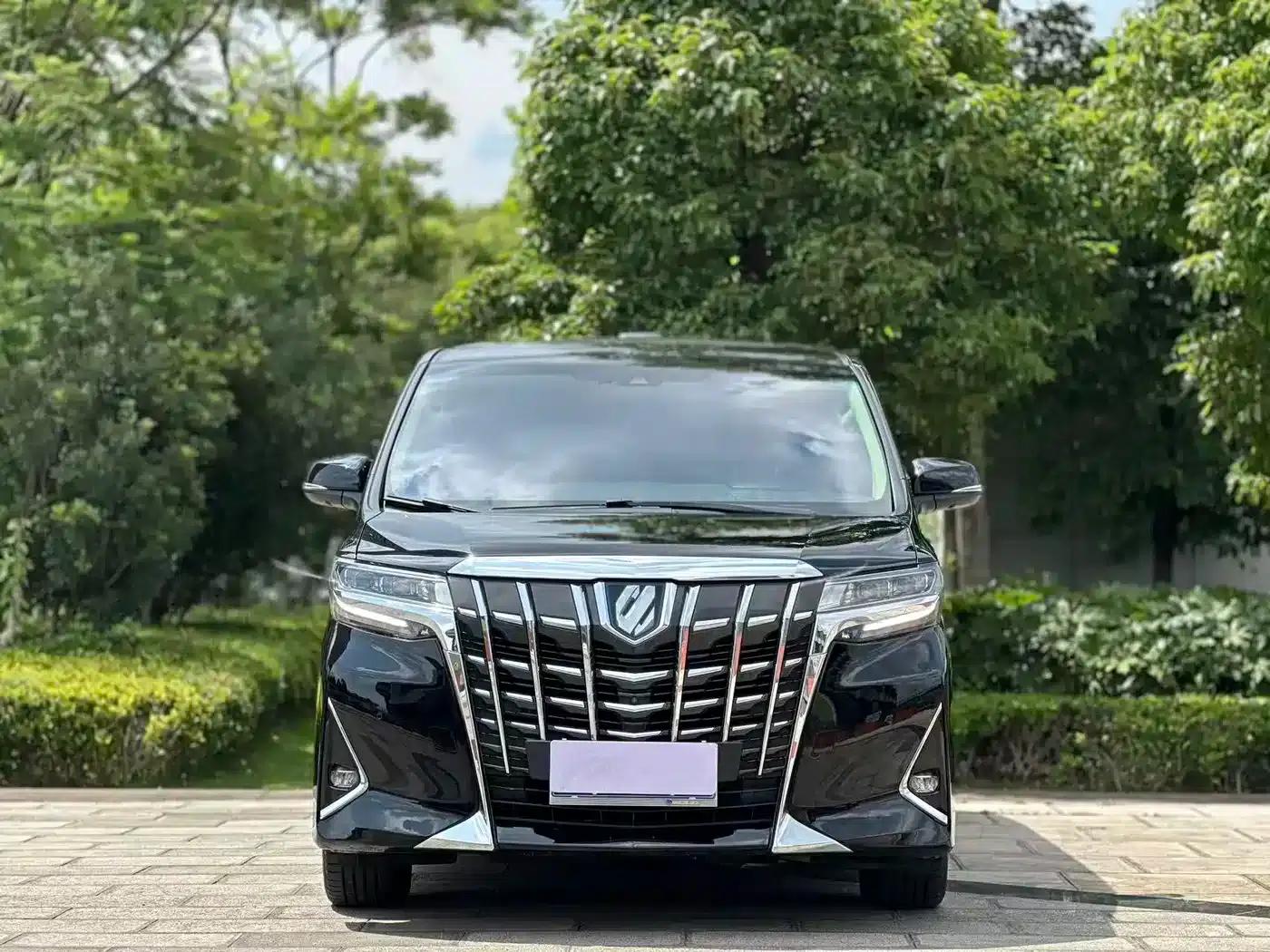 2019 Alphard Hybrid 2.5L Luxury Edition — миниатюра 2
