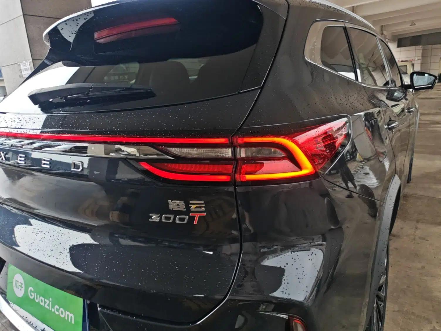 EXEED Lingyun 2023 300T Two-Wheel Drive Starry Edition — миниатюра 9