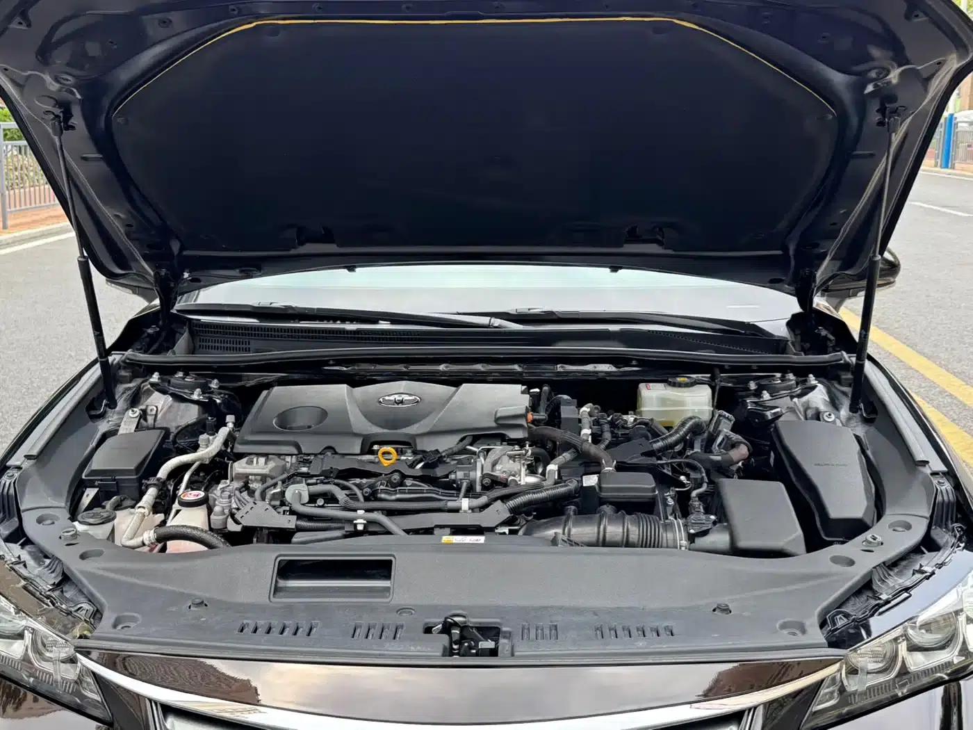 2019 Toyota Avalon Hybrid 2.5L Luxury Edition (National V Emission Standard) — миниатюра 24
