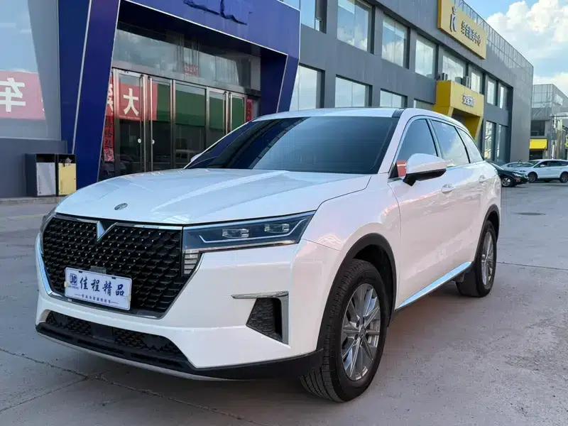 Venucia Star 2020 260T Automatic Star Edition — миниатюра 1