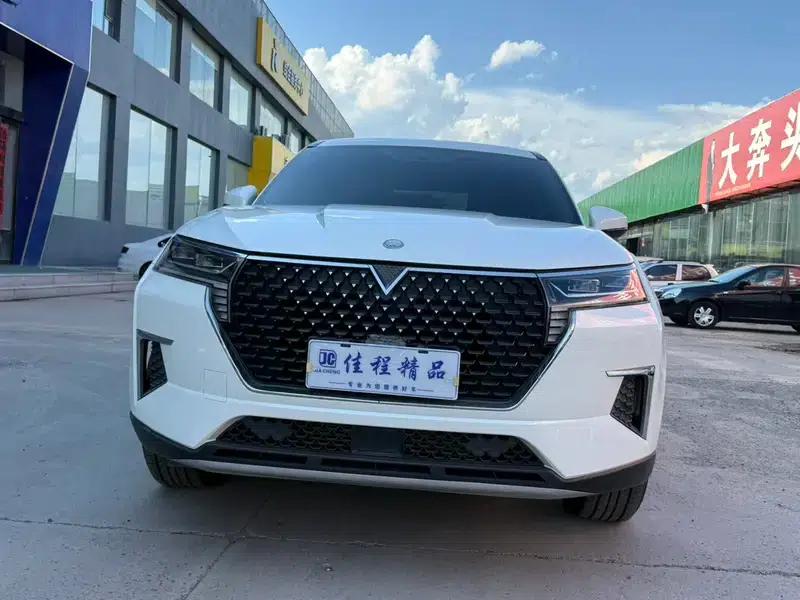 Venucia Star 2020 260T Automatic Star Edition — миниатюра 2