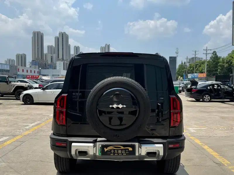 Leopard 5 2023 Navigator Edition — миниатюра 5