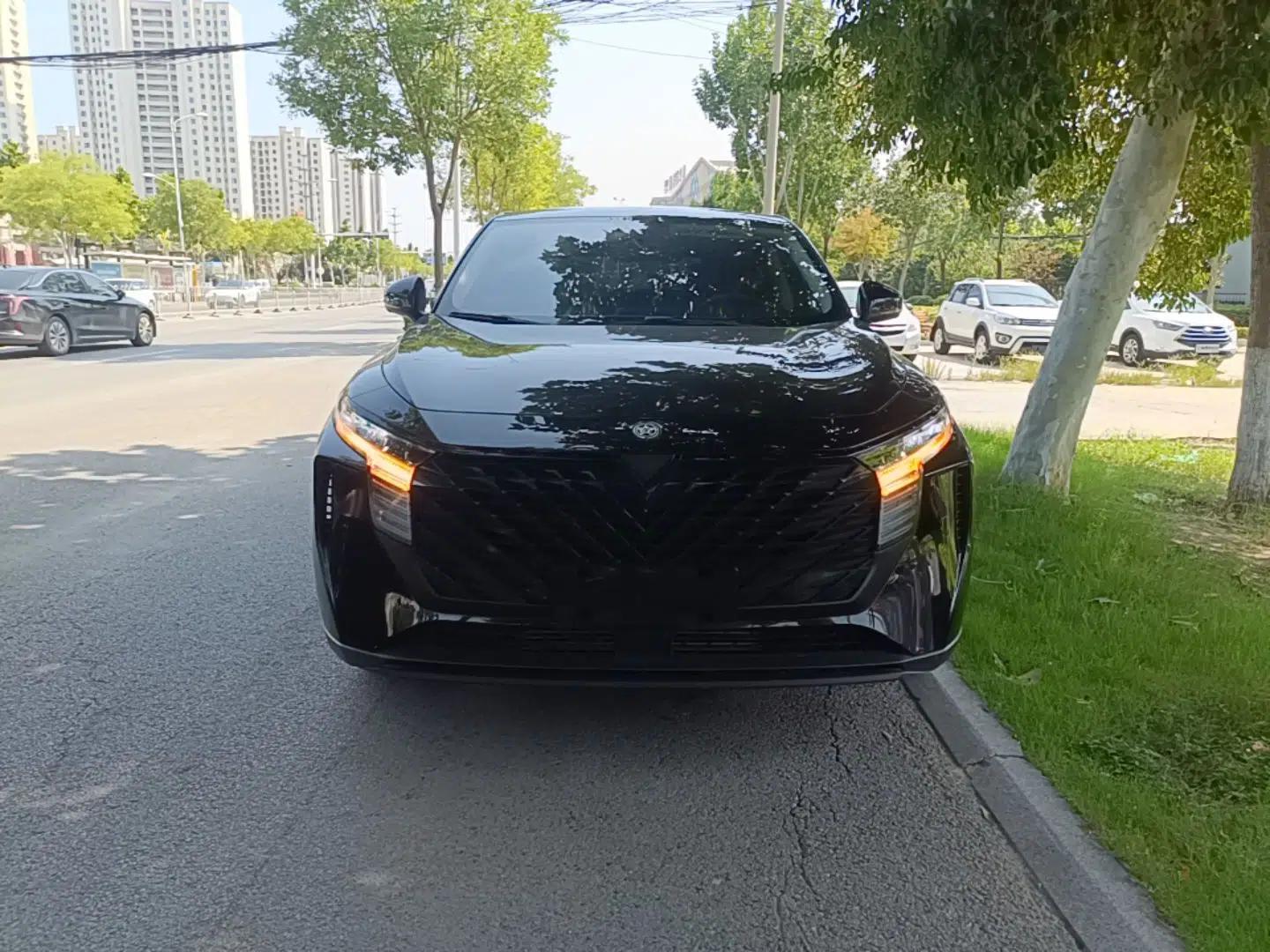 Venucia V 2023 260T Black Horse Edition Pro — миниатюра 2
