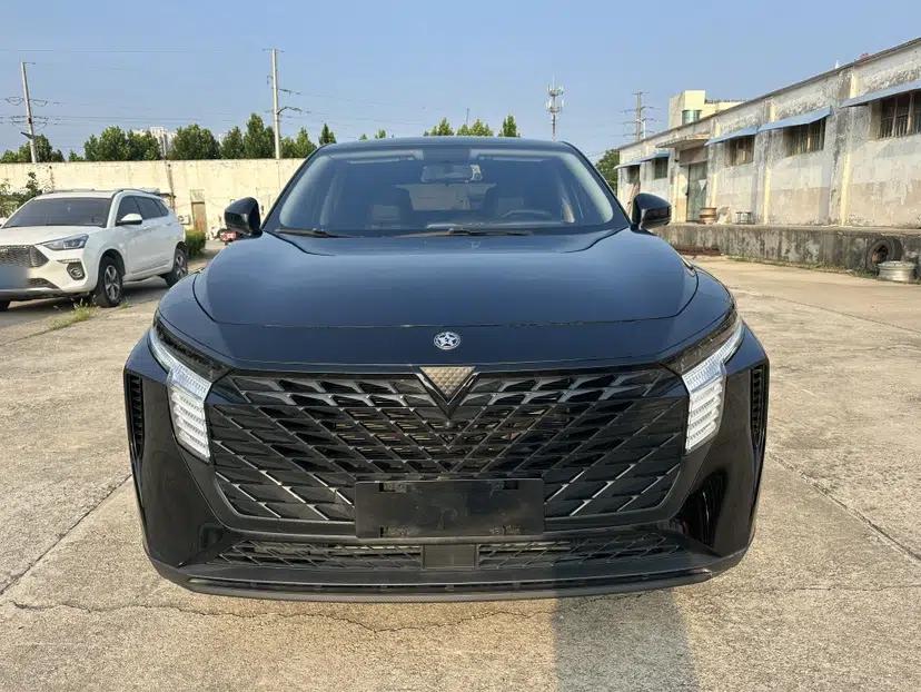 Venucia V 2023 260T Black Horse Edition Pro — миниатюра 18