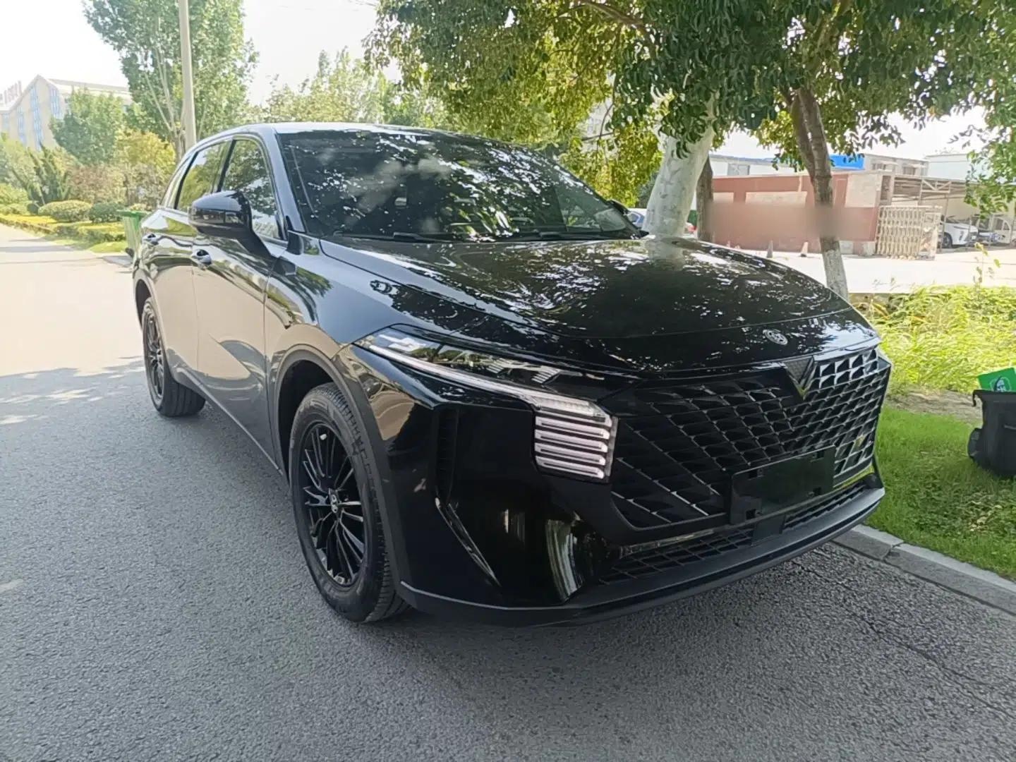 Venucia V 2023 260T Black Horse Edition Pro — миниатюра 3