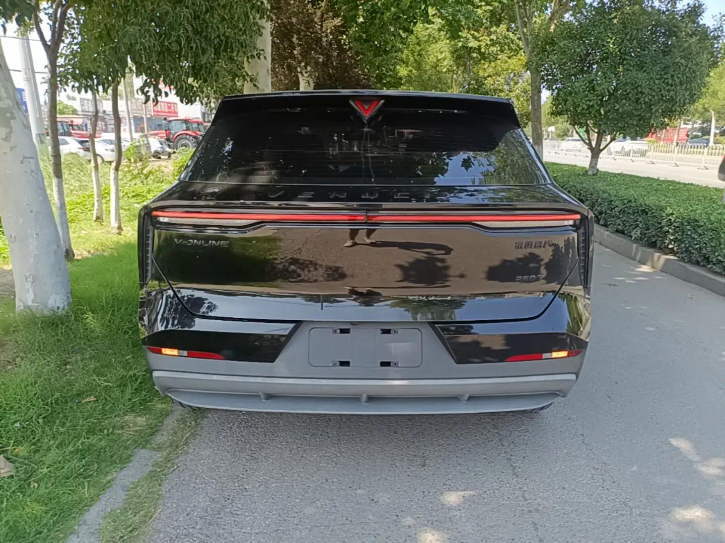 Venucia V 2023 260T Black Horse Edition Pro — миниатюра 5